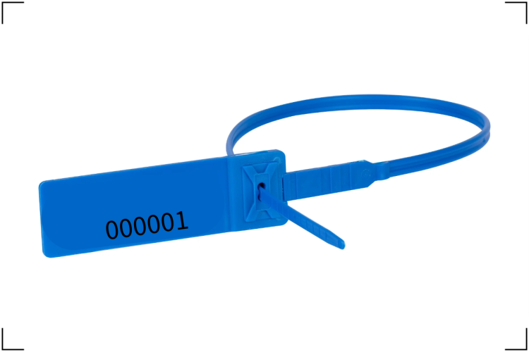 SG 300 Tr v2.png